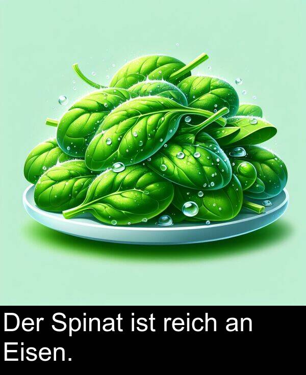 Der: Der Spinat ist reich an Eisen.