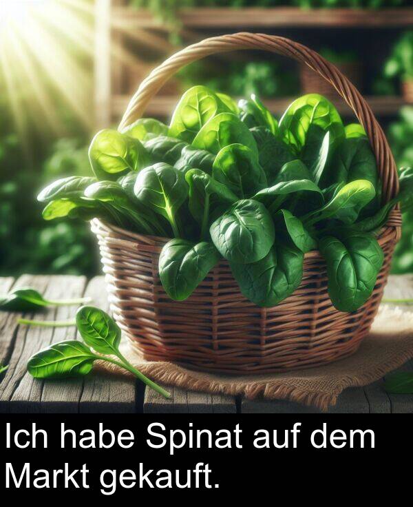 dem: Ich habe Spinat auf dem Markt gekauft.