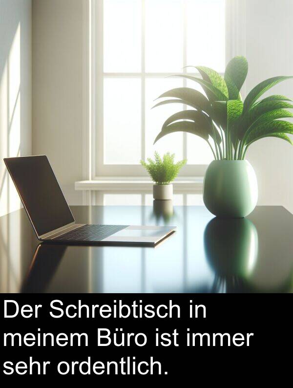 Büro: Der Schreibtisch in meinem Büro ist immer sehr ordentlich.