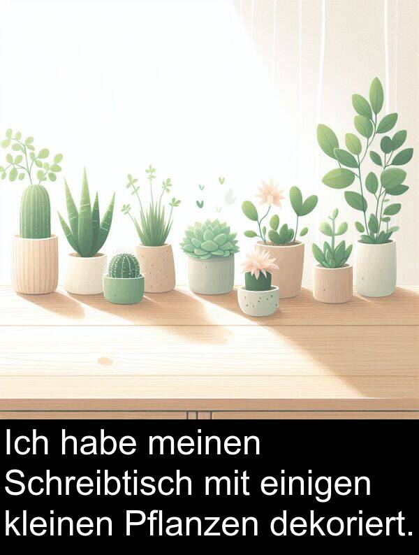 dekoriert: Ich habe meinen Schreibtisch mit einigen kleinen Pflanzen dekoriert.