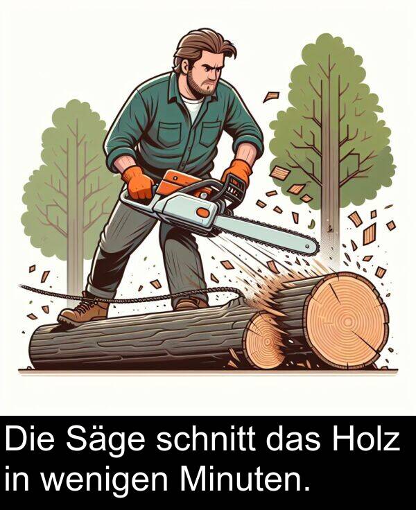 Holz: Die Säge schnitt das Holz in wenigen Minuten.