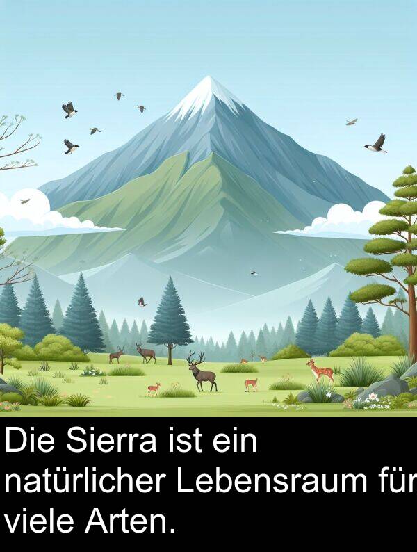Sierra: Die Sierra ist ein natürlicher Lebensraum für viele Arten.