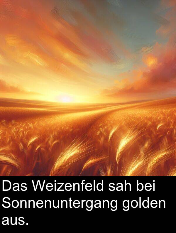 sah: Das Weizenfeld sah bei Sonnenuntergang golden aus.