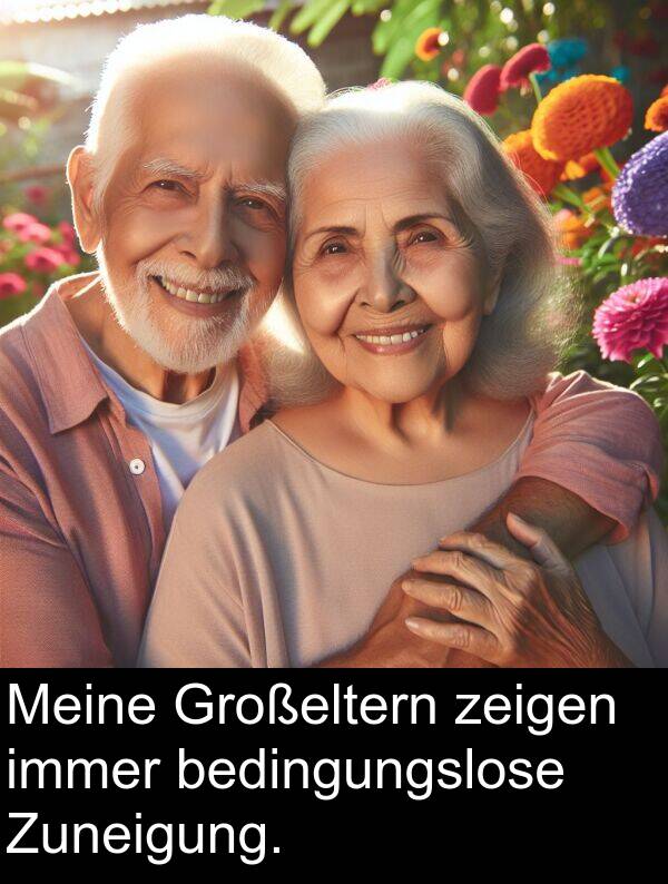 Zuneigung: Meine Großeltern zeigen immer bedingungslose Zuneigung.