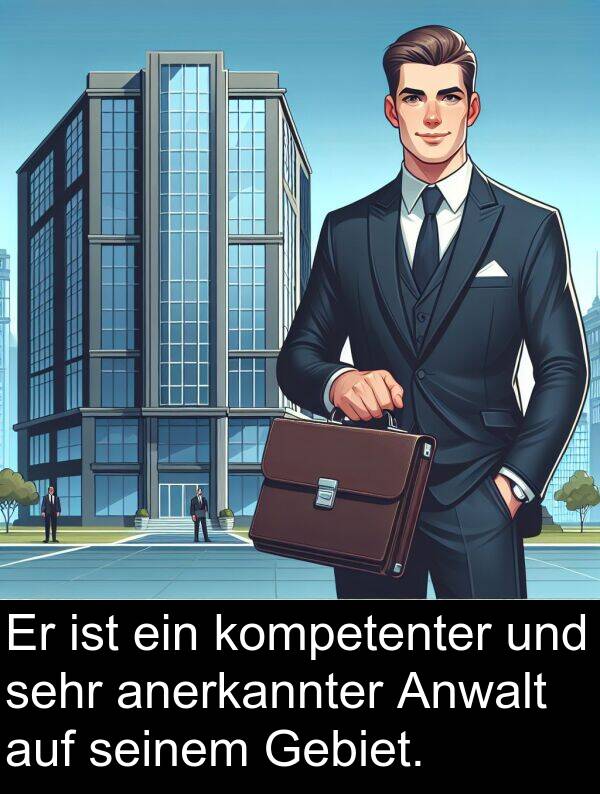 Gebiet: Er ist ein kompetenter und sehr anerkannter Anwalt auf seinem Gebiet.