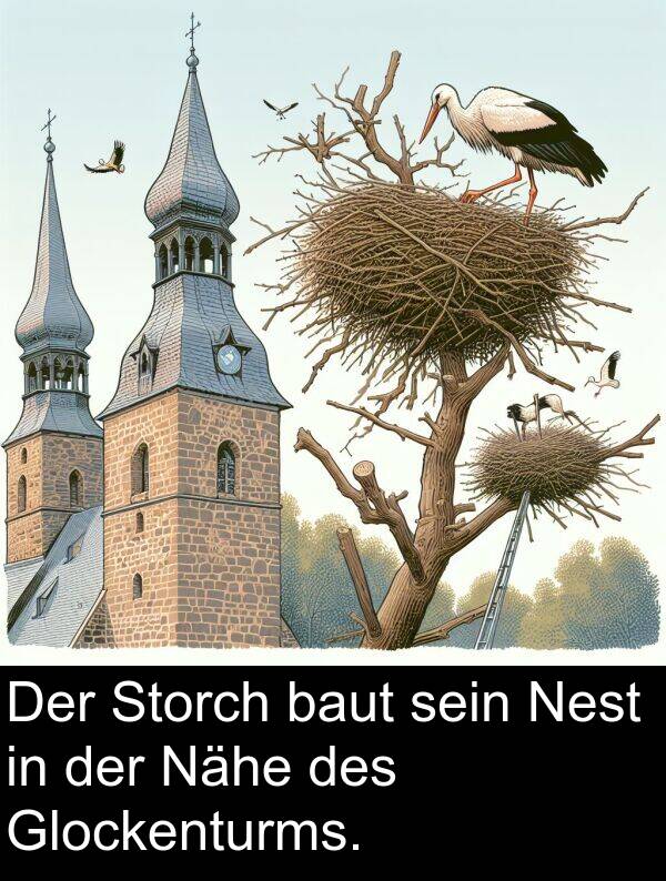 Storch: Der Storch baut sein Nest in der Nähe des Glockenturms.