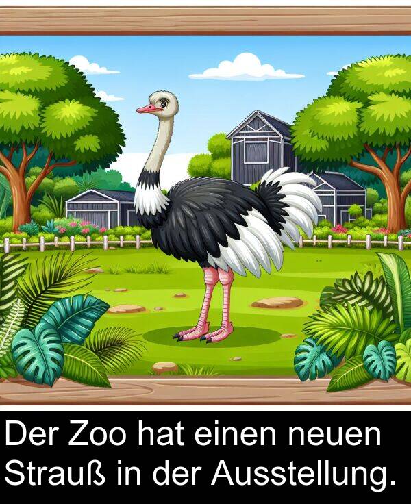 einen: Der Zoo hat einen neuen Strauß in der Ausstellung.
