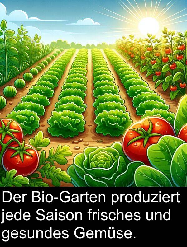 jede: Der Bio-Garten produziert jede Saison frisches und gesundes Gemüse.