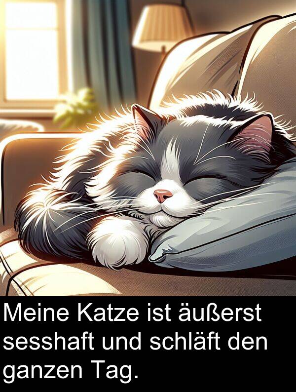 äußerst: Meine Katze ist äußerst sesshaft und schläft den ganzen Tag.