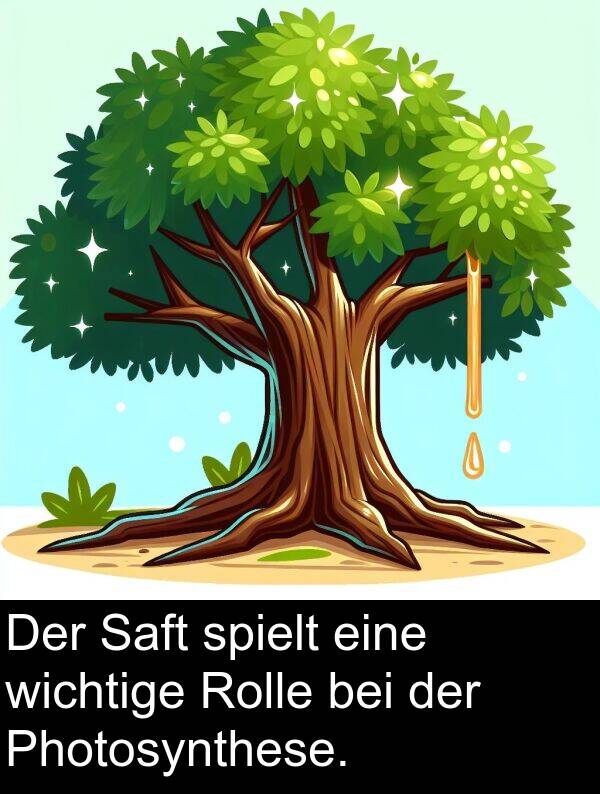 spielt: Der Saft spielt eine wichtige Rolle bei der Photosynthese.