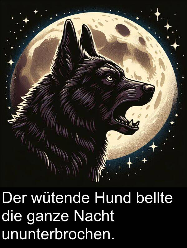 wütende: Der wütende Hund bellte die ganze Nacht ununterbrochen.