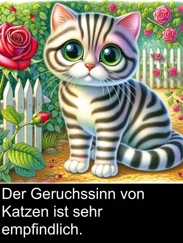 empfindlich: Der Geruchssinn von Katzen ist sehr empfindlich.