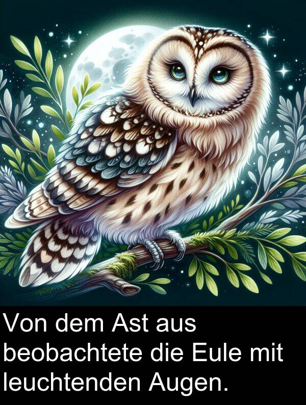Ast: Von dem Ast aus beobachtete die Eule mit leuchtenden Augen.
