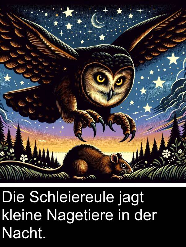 kleine: Die Schleiereule jagt kleine Nagetiere in der Nacht.