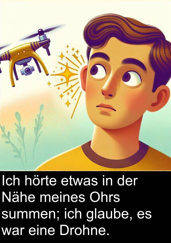 Drohne: Ich hörte etwas in der Nähe meines Ohrs summen; ich glaube, es war eine Drohne.