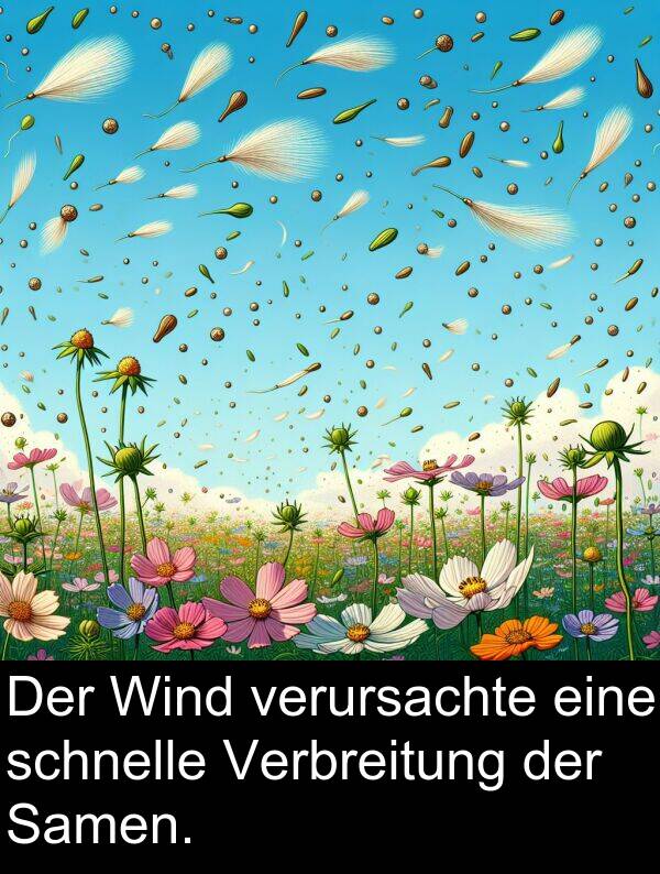Wind: Der Wind verursachte eine schnelle Verbreitung der Samen.
