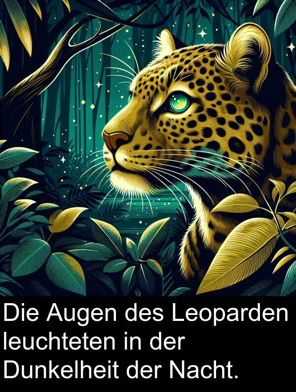 Dunkelheit: Die Augen des Leoparden leuchteten in der Dunkelheit der Nacht.