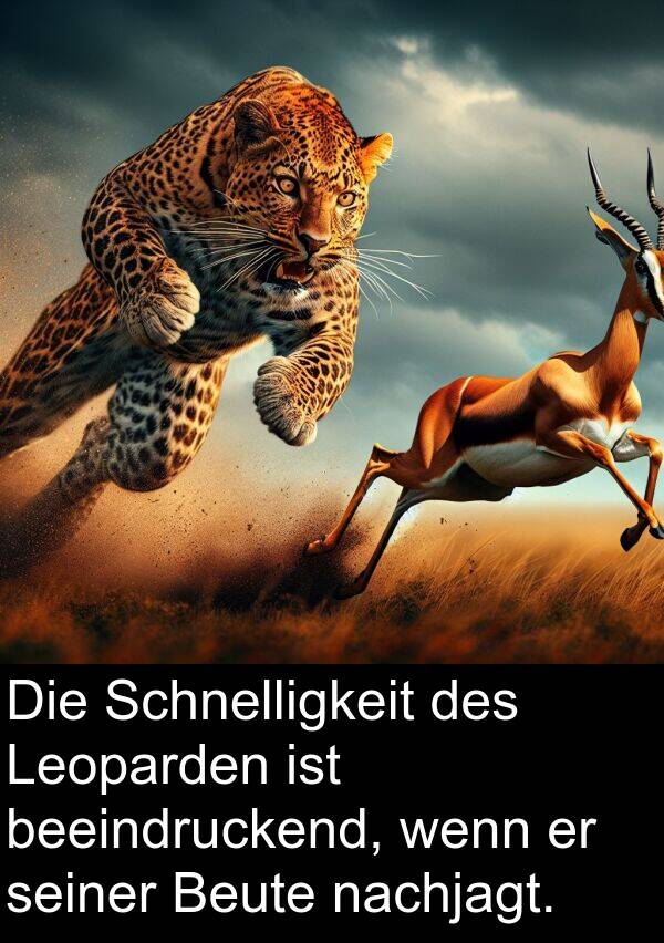 Leoparden: Die Schnelligkeit des Leoparden ist beeindruckend, wenn er seiner Beute nachjagt.