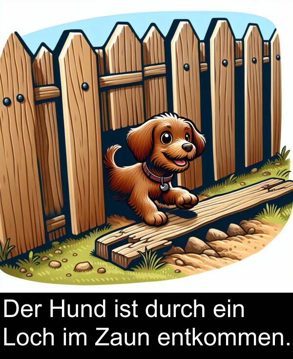 durch: Der Hund ist durch ein Loch im Zaun entkommen.