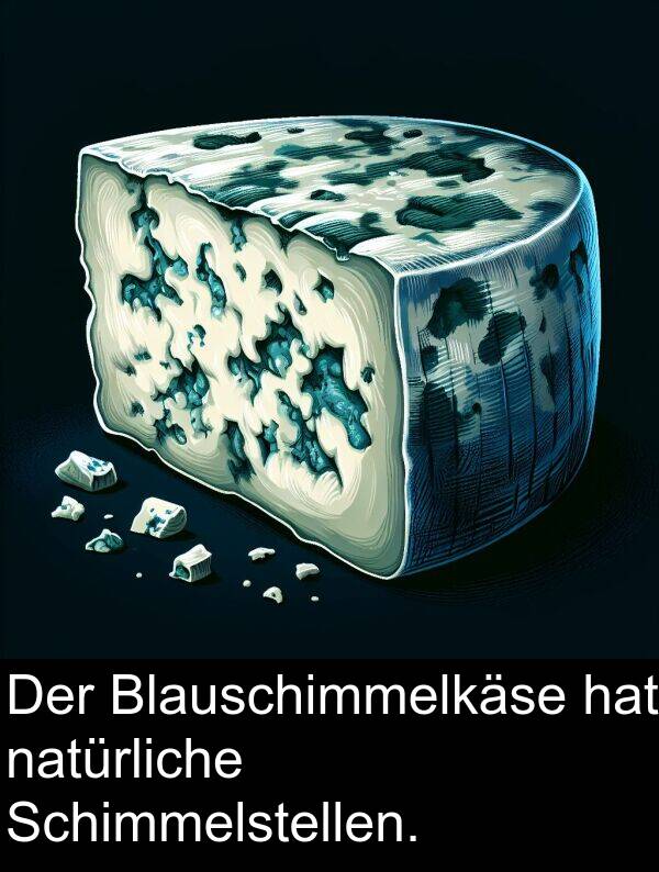 Blauschimmelkäse: Der Blauschimmelkäse hat natürliche Schimmelstellen.