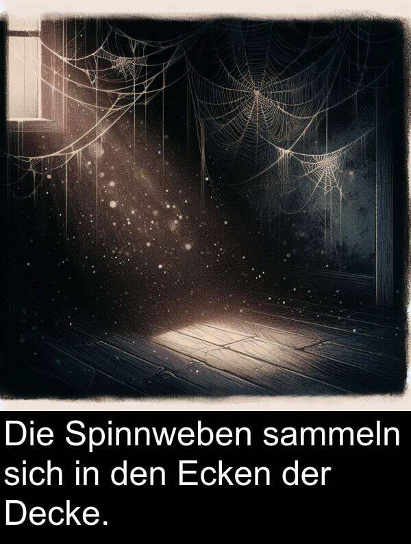 Decke: Die Spinnweben sammeln sich in den Ecken der Decke.