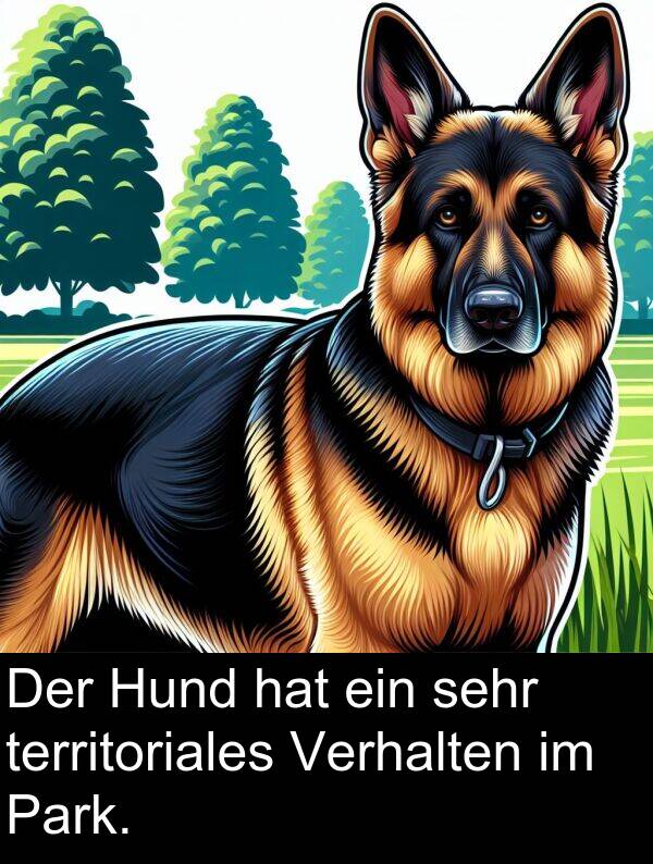 Hund: Der Hund hat ein sehr territoriales Verhalten im Park.