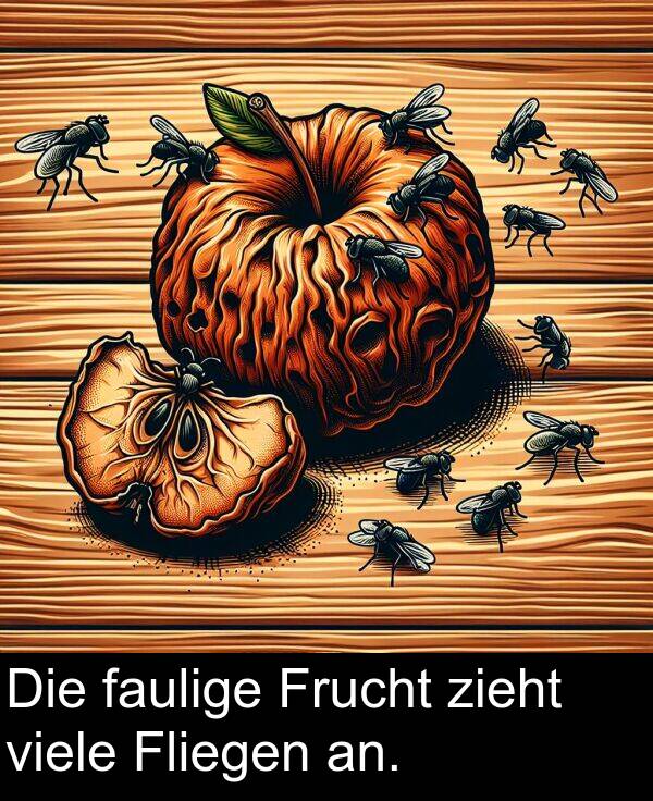 Frucht: Die faulige Frucht zieht viele Fliegen an.