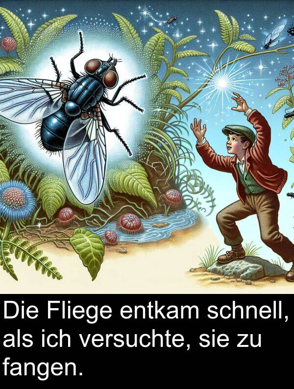 fangen: Die Fliege entkam schnell, als ich versuchte, sie zu fangen.