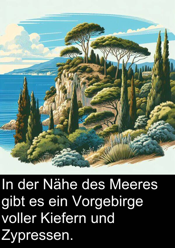 Zypressen: In der Nähe des Meeres gibt es ein Vorgebirge voller Kiefern und Zypressen.