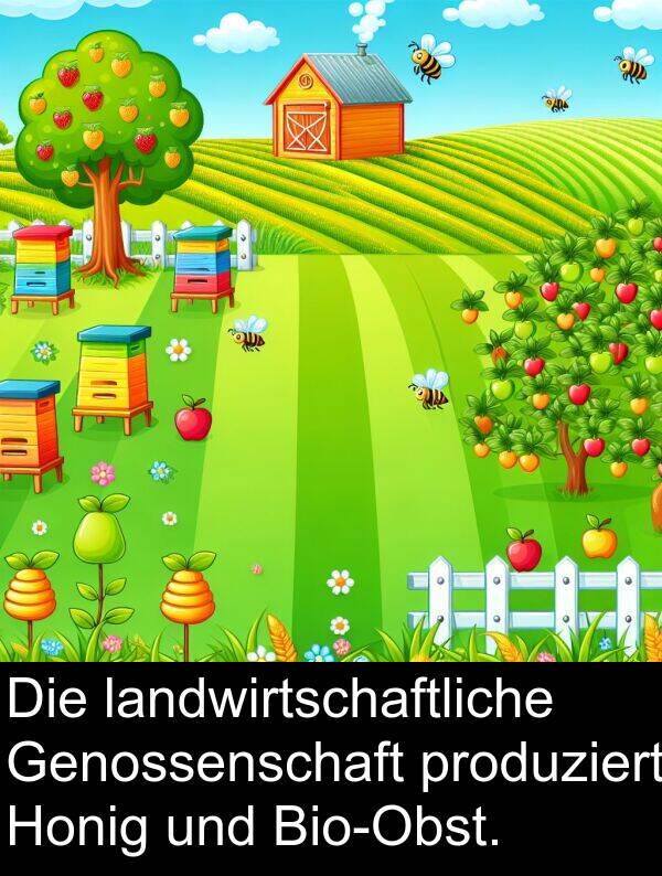 Honig: Die landwirtschaftliche Genossenschaft produziert Honig und Bio-Obst.