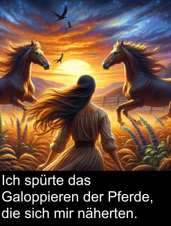 Galoppieren: Ich spürte das Galoppieren der Pferde, die sich mir näherten.