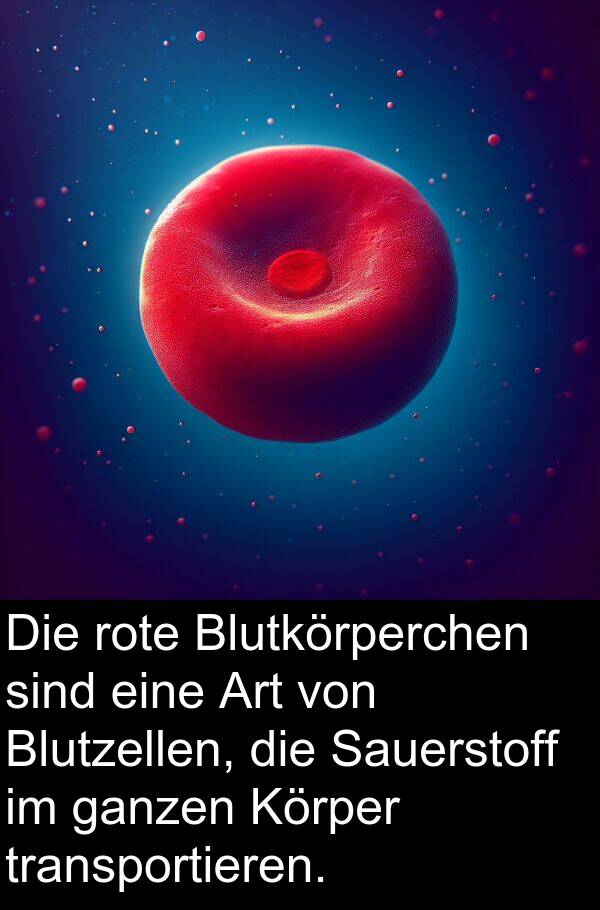 Körper: Die rote Blutkörperchen sind eine Art von Blutzellen, die Sauerstoff im ganzen Körper transportieren.