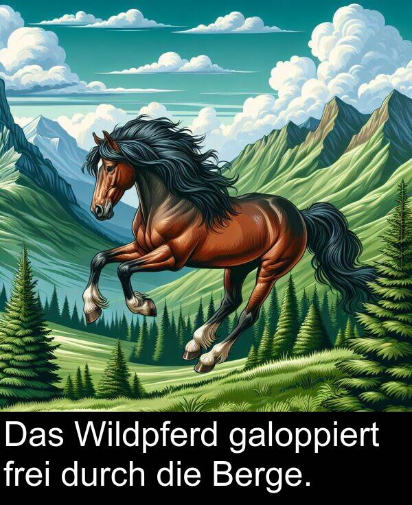 Wildpferd: Das Wildpferd galoppiert frei durch die Berge.