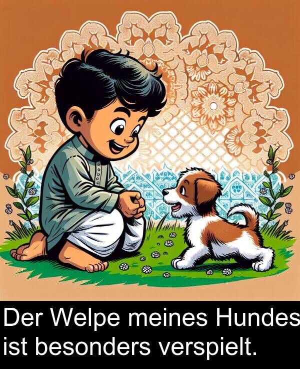 Hundes: Der Welpe meines Hundes ist besonders verspielt.