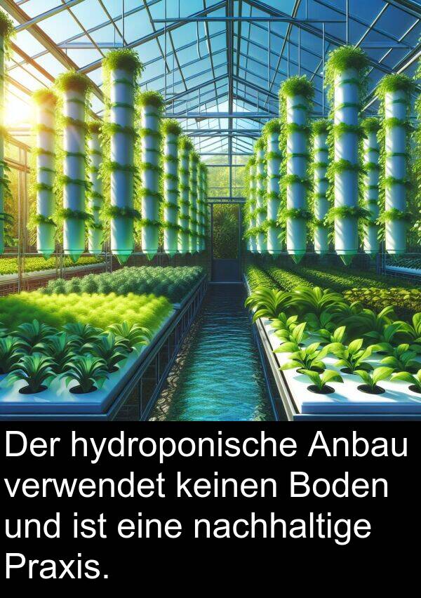 hydroponische: Der hydroponische Anbau verwendet keinen Boden und ist eine nachhaltige Praxis.