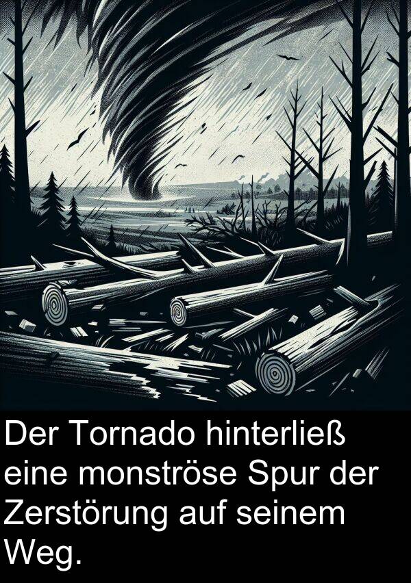 Spur: Der Tornado hinterließ eine monströse Spur der Zerstörung auf seinem Weg.