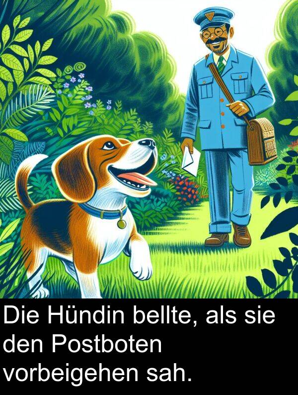 sah: Die Hündin bellte, als sie den Postboten vorbeigehen sah.