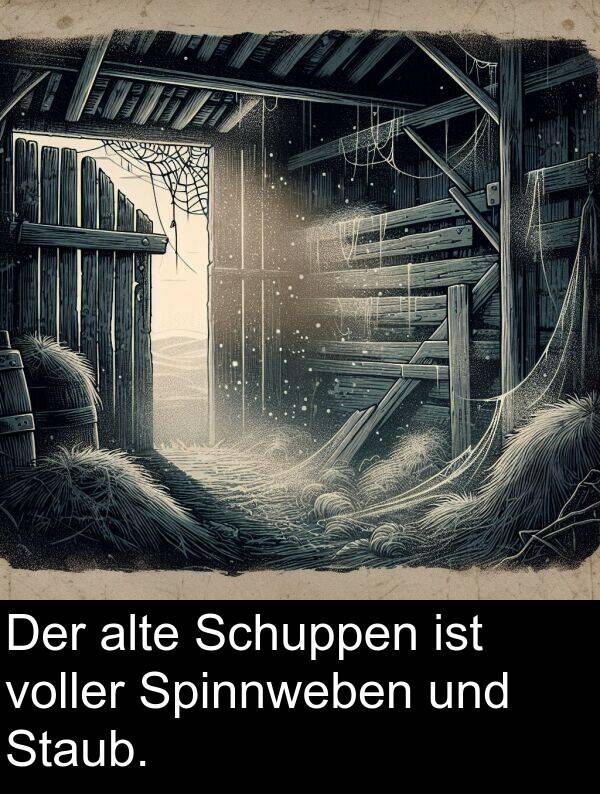 voller: Der alte Schuppen ist voller Spinnweben und Staub.