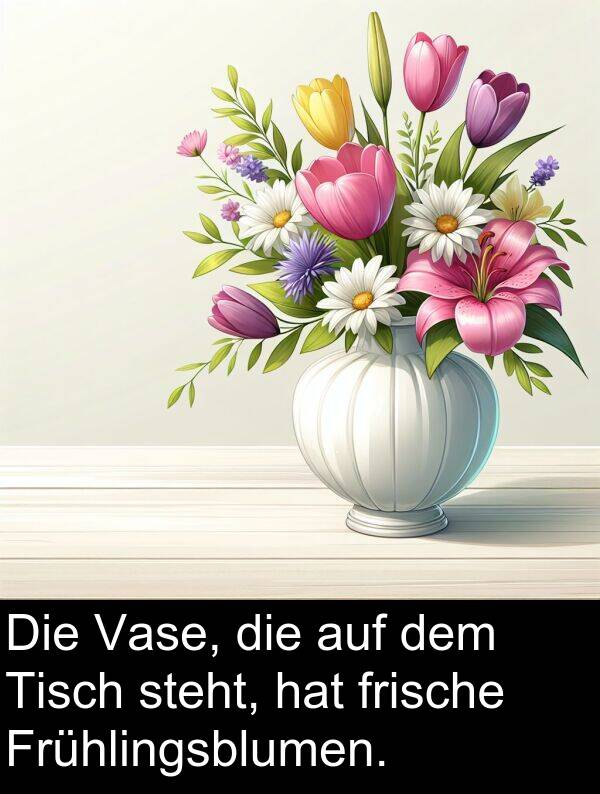 frische: Die Vase, die auf dem Tisch steht, hat frische Frühlingsblumen.