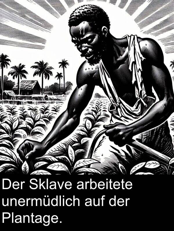 Sklave: Der Sklave arbeitete unermüdlich auf der Plantage.