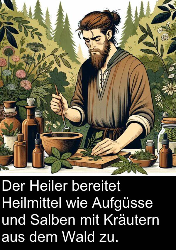 Wald: Der Heiler bereitet Heilmittel wie Aufgüsse und Salben mit Kräutern aus dem Wald zu.