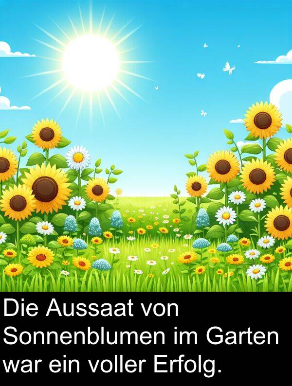voller: Die Aussaat von Sonnenblumen im Garten war ein voller Erfolg.