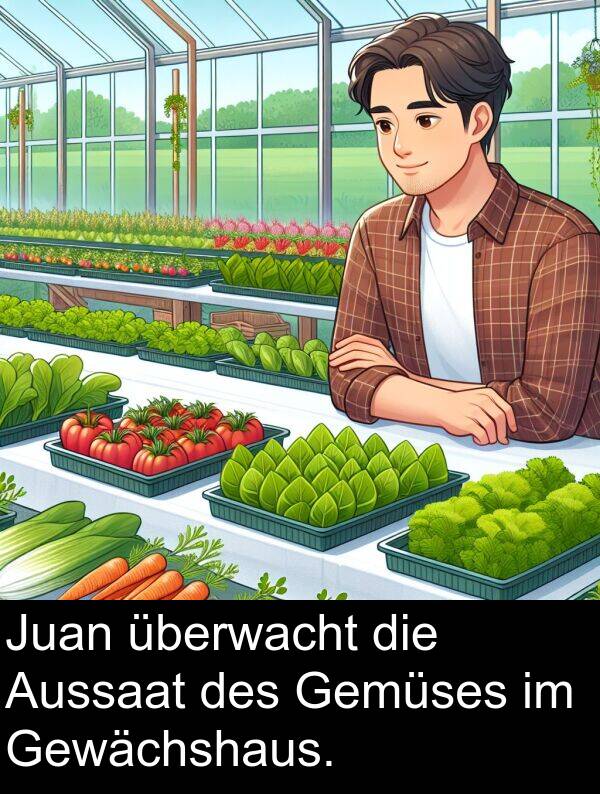 überwacht: Juan überwacht die Aussaat des Gemüses im Gewächshaus.