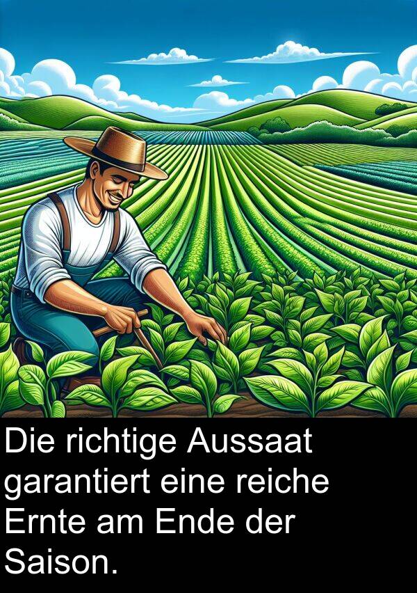 garantiert: Die richtige Aussaat garantiert eine reiche Ernte am Ende der Saison.
