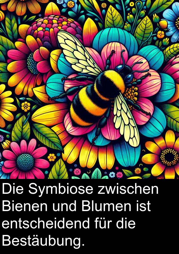 Symbiose: Die Symbiose zwischen Bienen und Blumen ist entscheidend für die Bestäubung.