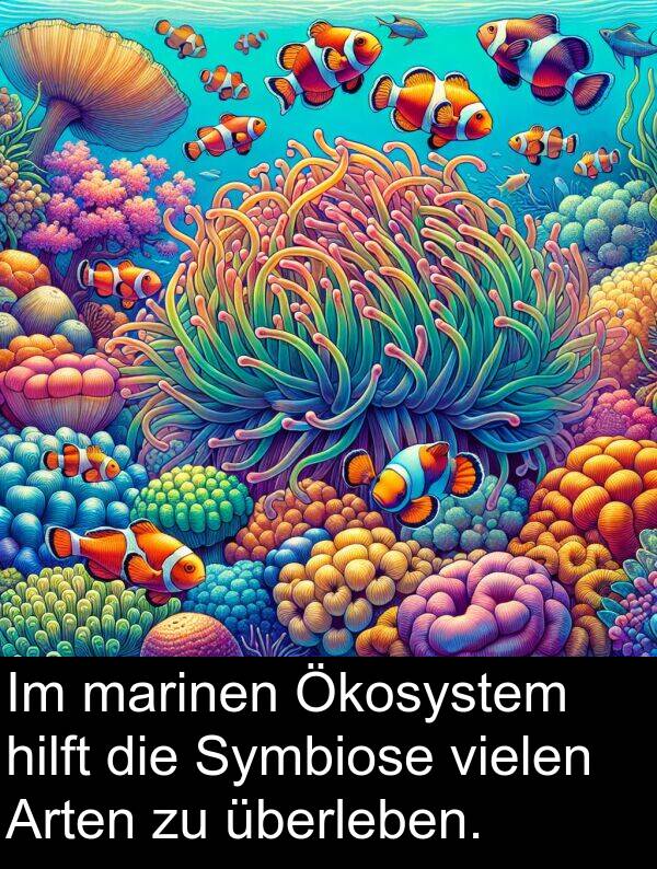Symbiose: Im marinen Ökosystem hilft die Symbiose vielen Arten zu überleben.