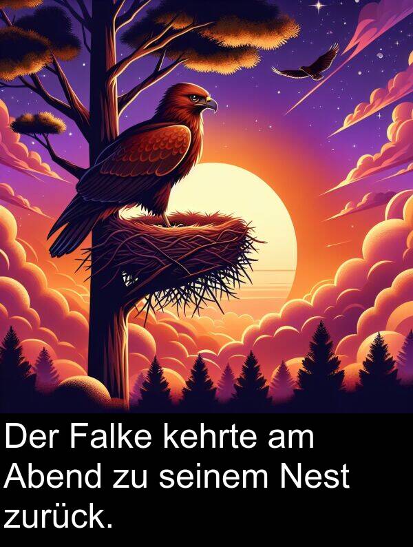 Abend: Der Falke kehrte am Abend zu seinem Nest zurück.