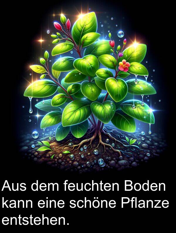 feuchten: Aus dem feuchten Boden kann eine schöne Pflanze entstehen.