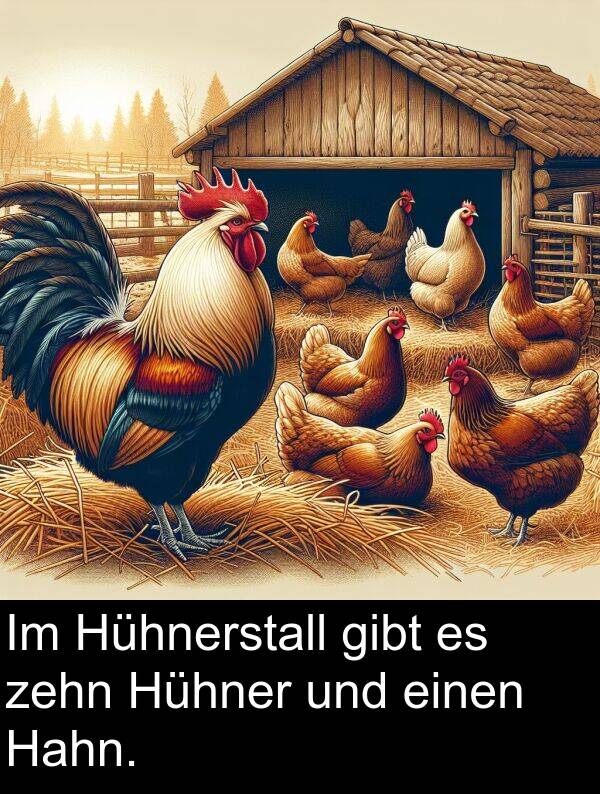 einen: Im Hühnerstall gibt es zehn Hühner und einen Hahn.