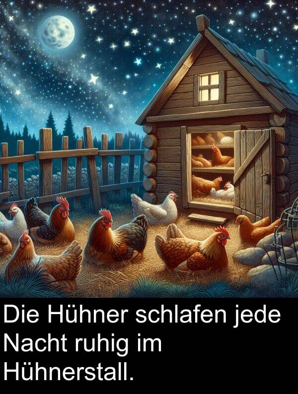 jede: Die Hühner schlafen jede Nacht ruhig im Hühnerstall.